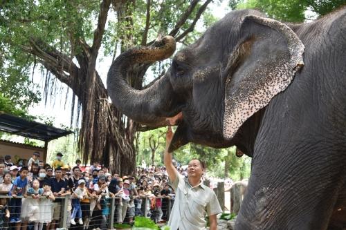 五一假期首日，深圳野生動物園動物科普講解吸引游客